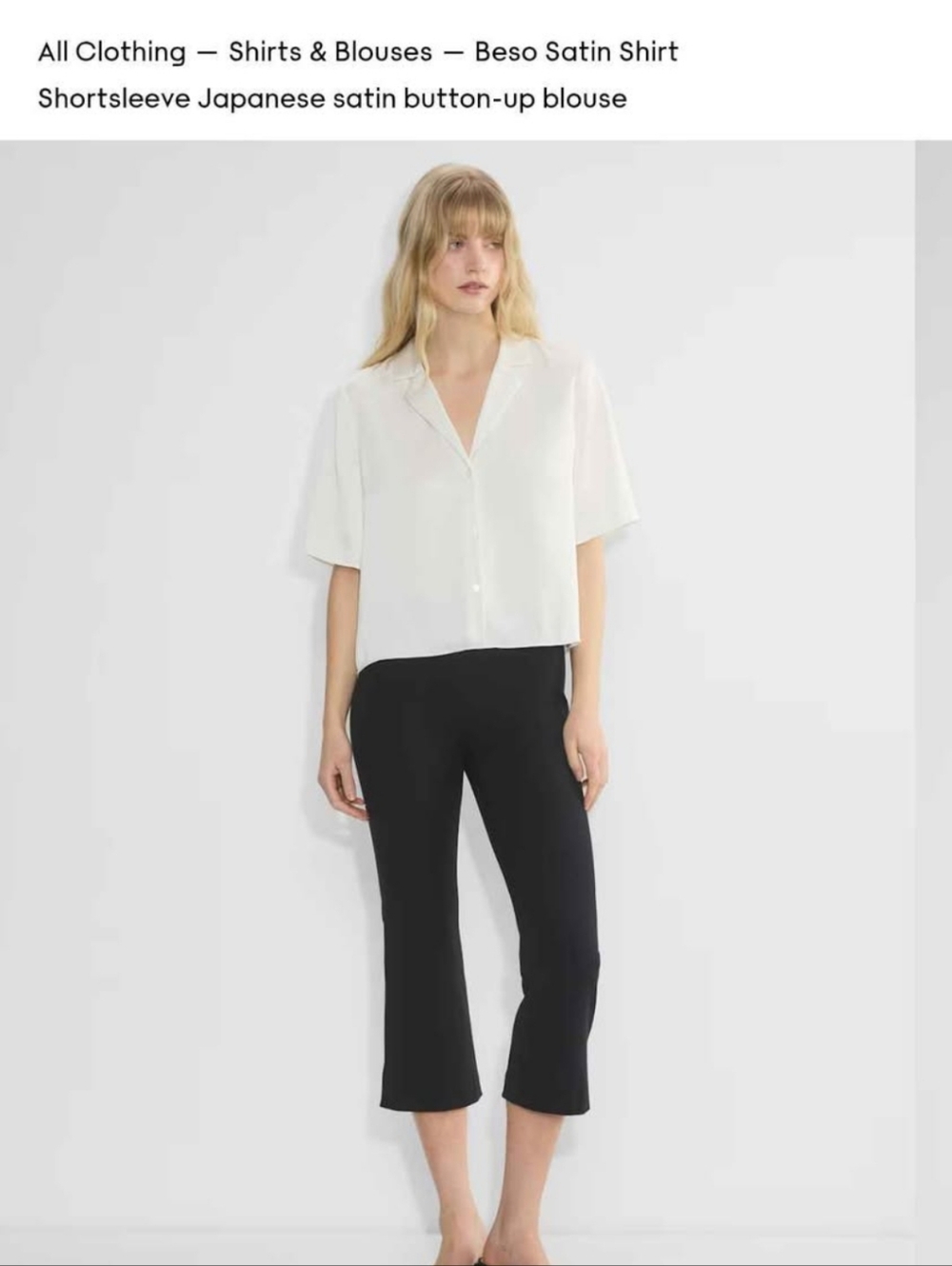 Aritzia Wilfred Beso Satin Shirt